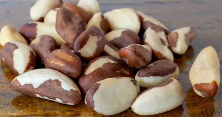 castanha do para planos de saude amil bradesco saude www.planosdesaudeecia.com.br